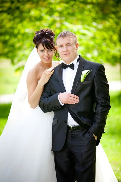 Bride and groom — Stock Photo, Image