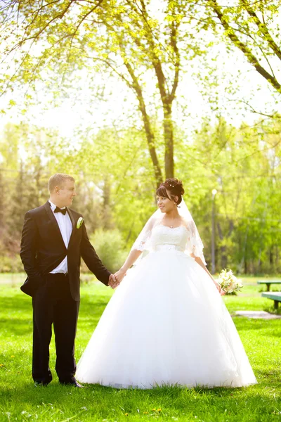 Bride and groom — Stock Photo, Image