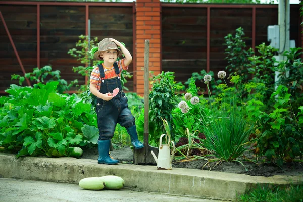 Portrait of a boy working in the garden in holiday — Stock Photo, Image