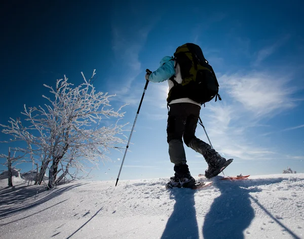 Escursionista in montagna invernale — Foto Stock