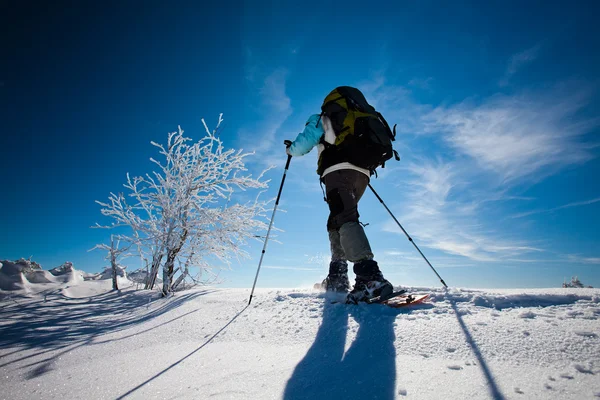 冬の山のハイカーは — ストック写真