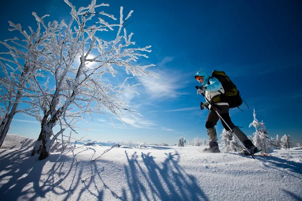 Excursionista en las montañas de invierno — Foto de Stock