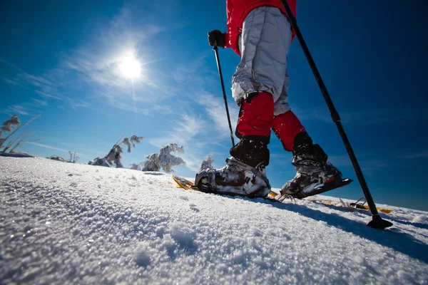 Excursionista en las montañas de invierno — Foto de Stock