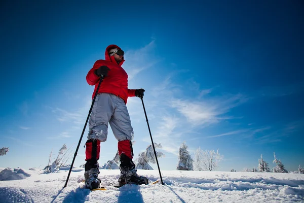 Escursionista in montagna invernale — Foto Stock