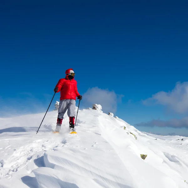 Excursionista en las montañas de invierno — Foto de Stock