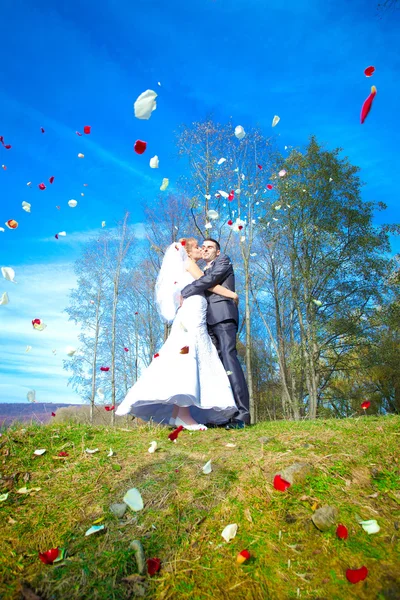 Bride and groom — Stock Photo, Image