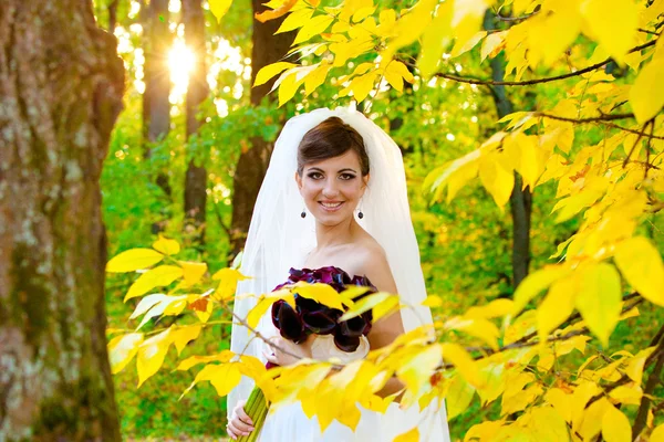 Bela noiva no dia do casamento — Fotografia de Stock