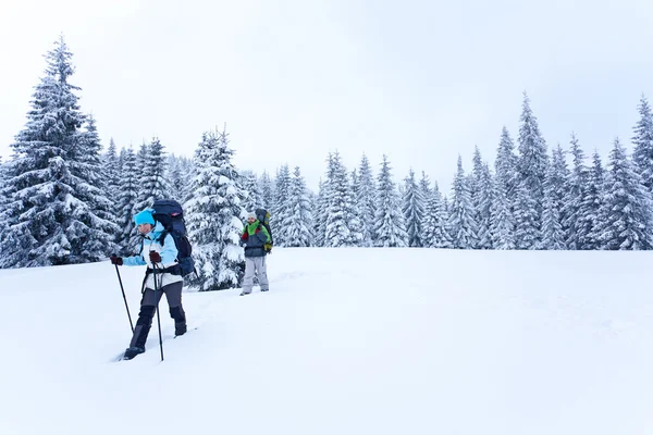雪の森を歩くハイカー — ストック写真