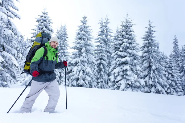 Randonnées pédestres dans la forêt de neige — Photo