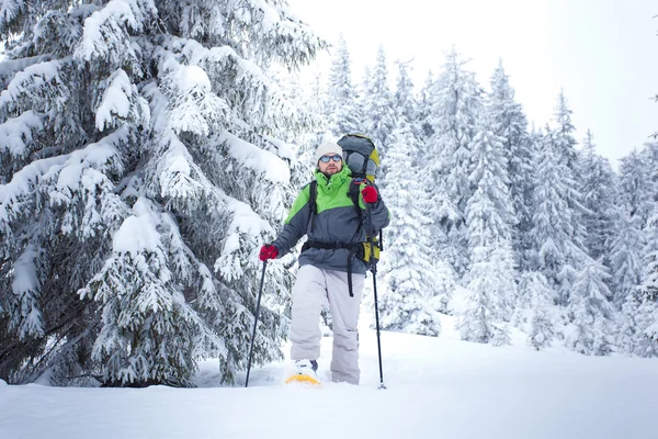 Hiker walks in snow forest