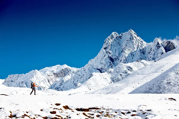 Senderismo en montañas del Himalaya —  Fotos de Stock