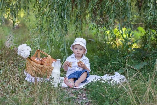 Liten pojke har picknick i sommaren park — Stockfoto