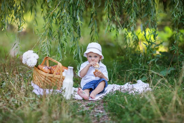 Liten pojke har picknick i sommaren park — Stockfoto