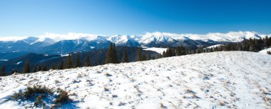 Dağlarda kış ormanı