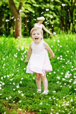 Küçük beyaz yaz parkta oynuyor