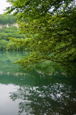 Sonbaharın güzel Karpat Dağları
