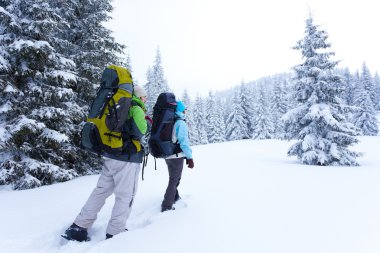 Uzun yürüyüşe çıkan kimse kış orman