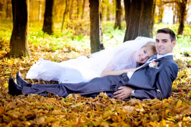 gelin damat 