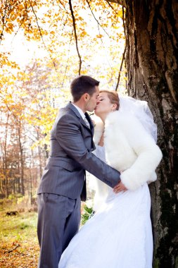 gelin damat 