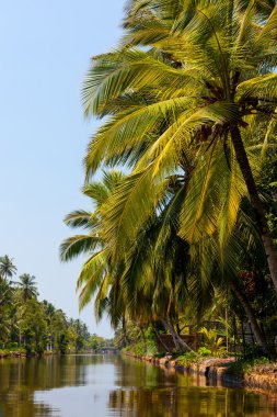 Sri Lanka Hollandalı kanalında doğal görünümü