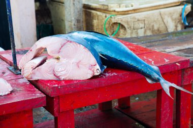 Sri Lanka yerel balık pazarı, çiğ balık