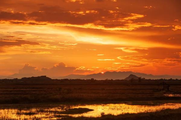 Paysage au coucher du soleil dans les champs du Sri Lanka — Photo