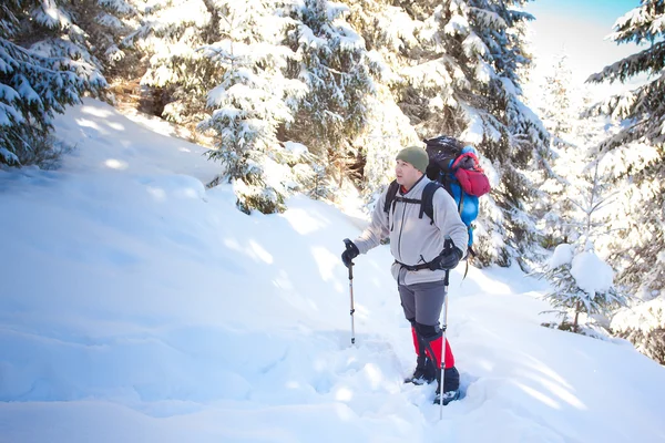 Wanderer in den Winterbergen — Stockfoto