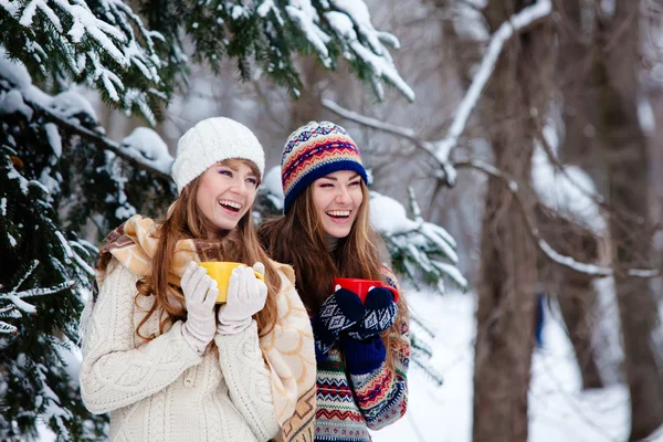 Attraente giovane donna in inverno all'aperto — Foto Stock