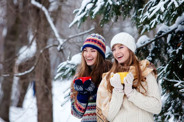 Atractiva joven mujer en invierno al aire libre —  Fotos de Stock