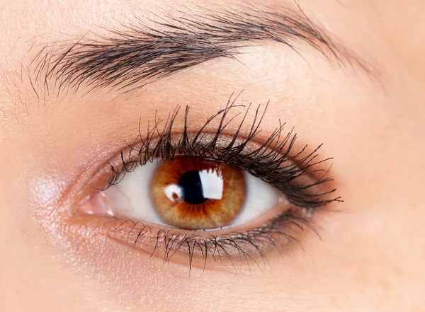 Schönes Make-up Lidschatten — Stockfoto