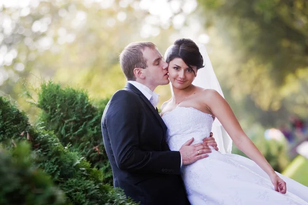Gelukkige bruid en bruidegom op hun trouwdag — Stockfoto