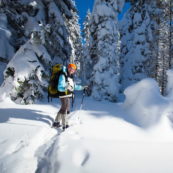 Excursionista en las montañas de invierno — Foto de Stock