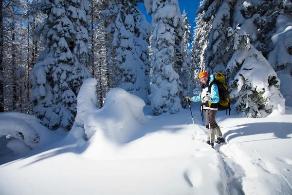 Excursionista en las montañas de invierno — Foto de Stock