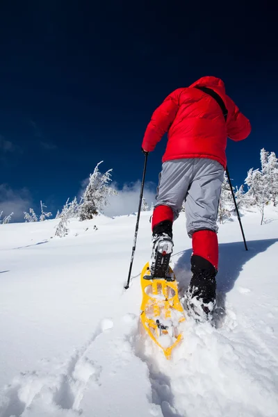 Caminhante em montanhas de inverno snowshoeing — Fotografia de Stock