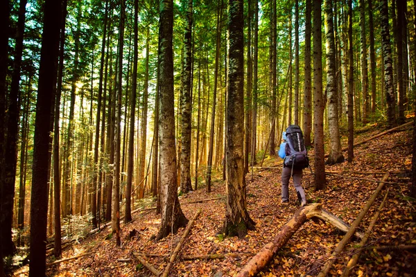 Hiker walking in autumn mountains — Stock Photo, Image