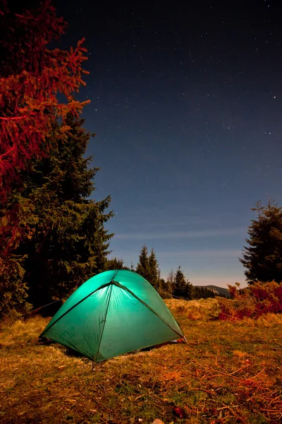 Tenda diterangi dengan cahaya di hutan malam — Stok Foto