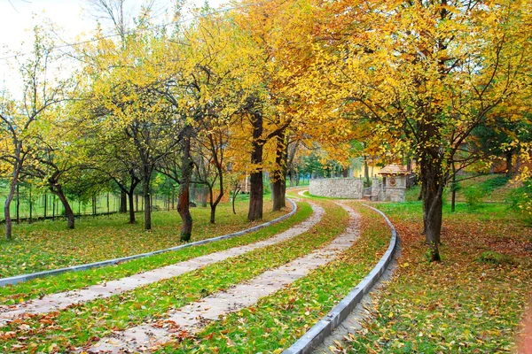 Beautiful Carpathian mountains in autumn — Stock Photo, Image