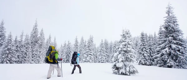 Senderista en el bosque de invierno — Foto de Stock