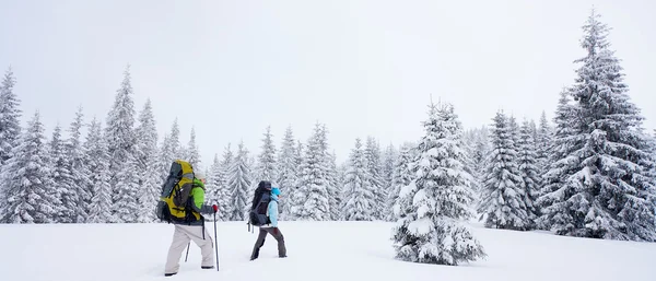 Senderista en el bosque de invierno —  Fotos de Stock