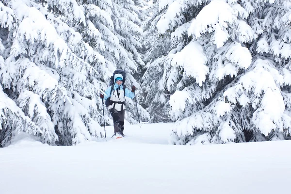 Caminatas en bosque de nieve — Foto de Stock