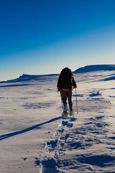 Turista se v zimě v horách — Stock fotografie