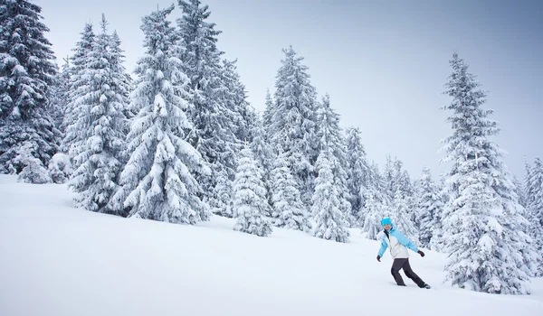 Caminatas en bosque de nieve — Foto de Stock