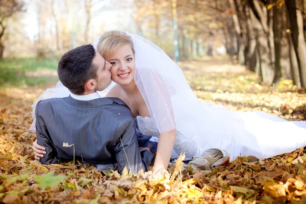 Novia y novio — Foto de Stock