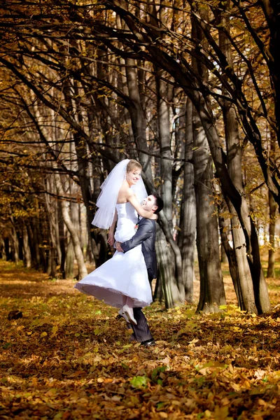 Novia y novio — Foto de Stock