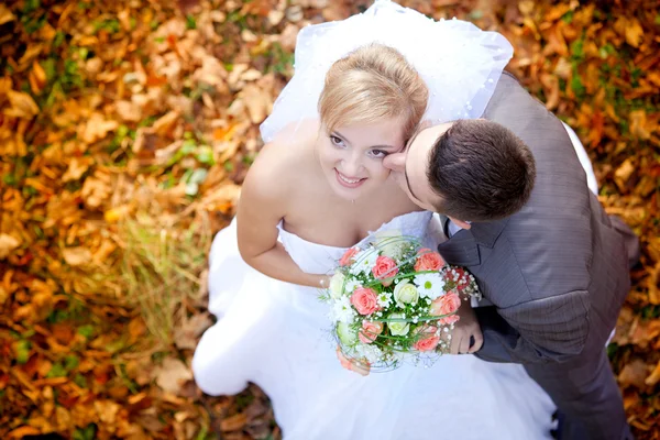 Novia y novio —  Fotos de Stock