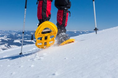 Güneşli gün boyunca kış dağlarda snowshoeing fiyatı