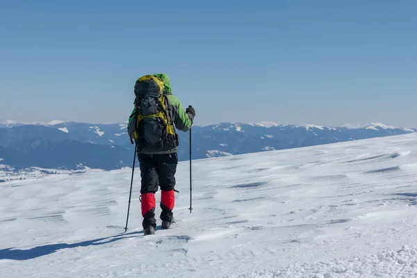 Uzun yürüyüşe çıkan kimse güneşli kış dağlarda — Stok fotoğraf