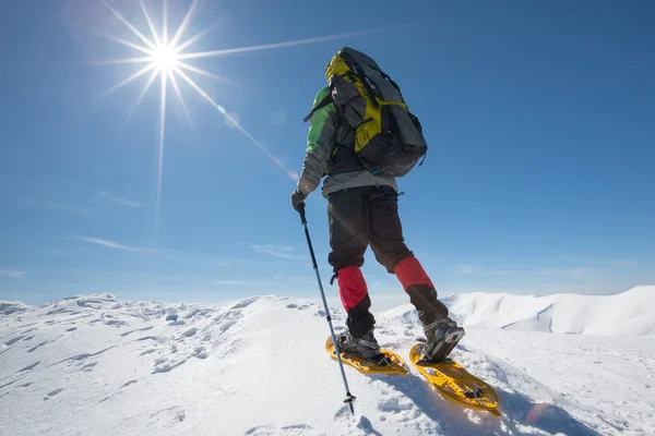 徒步旅行者在冬天山雪地行走在阳光灿烂的日子 — 图库照片