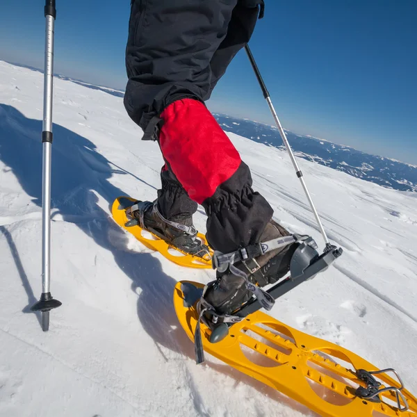 Caminante raquetas de nieve en las montañas de invierno durante el día soleado —  Fotos de Stock