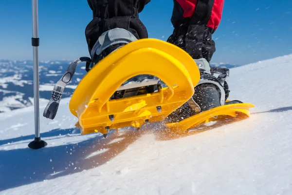 Hiker snowshoeing in winter mountains during sunny day — Stock Photo, Image